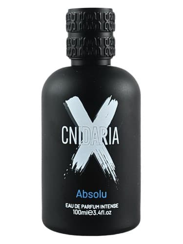 Cnidaria X Absolu 
