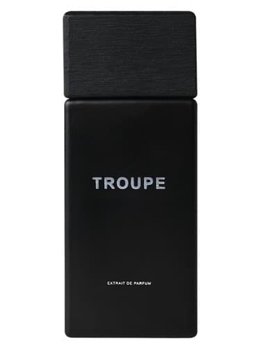 Troupe - گروه