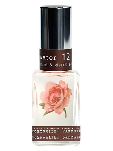 Gin & Rosewater - جین اند روزواتر