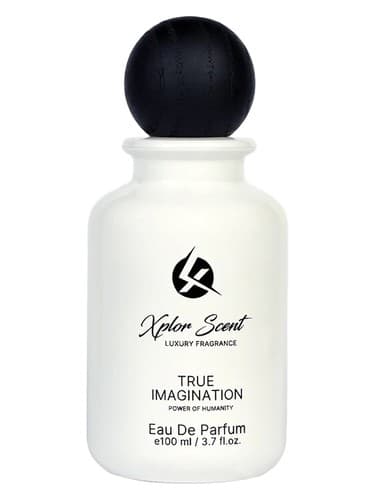 True Imagination - تخیل واقعی