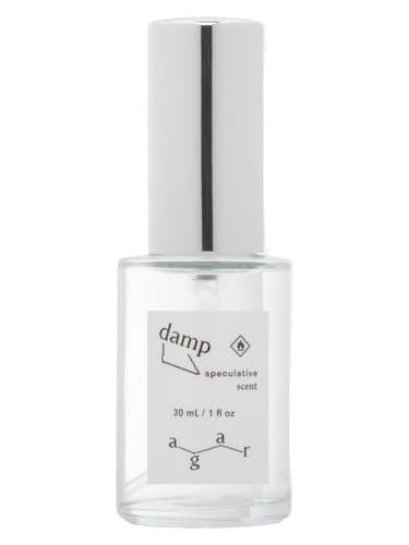 Damp - دمپ