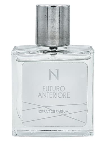 Futuro Anteriore