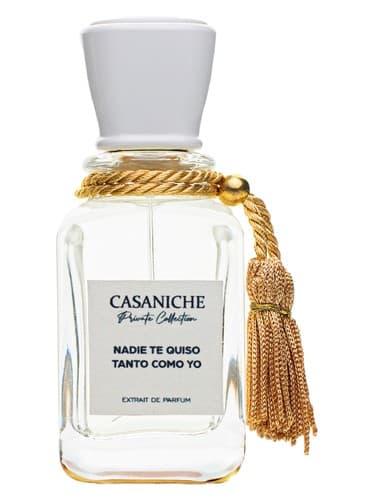 Nadie te quiso tanto como yo - نادی ته کیسو تانتو کومو یو