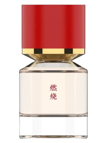 Burning 燃烧 - سوزاندن 燃烧