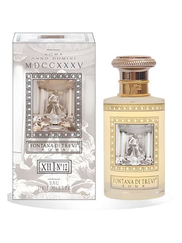Fontana di Trevi XII - فونتانا دی تروی دوازدهم