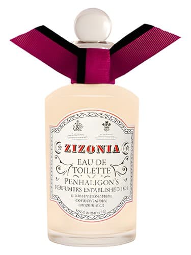 Zizonia - زیزونیا