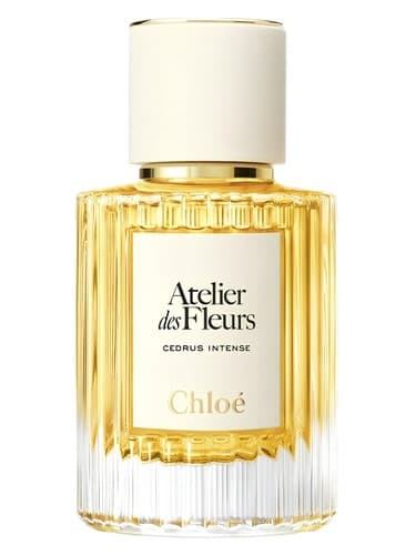 Cedrus Intense - سدروس اینتنس
