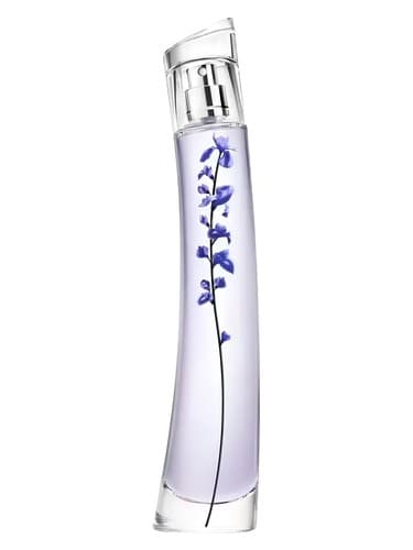 Flower Ikebana Indigo - فلاور ایکبانا ایندیگو
