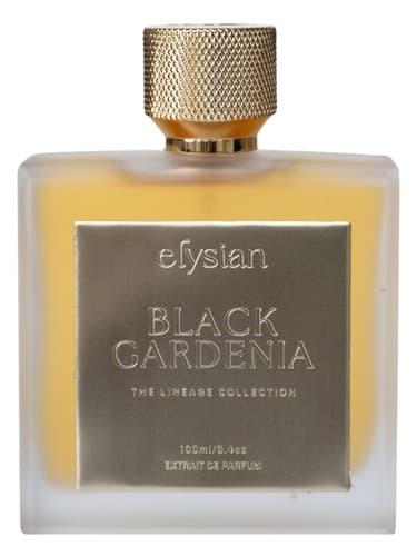Black Gardenia - گاردنیا بلک