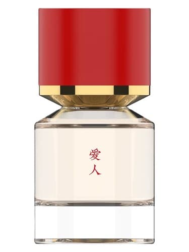 The Lover 爱人 - عاشق 爱人