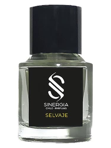 Selvaje - سلواجه