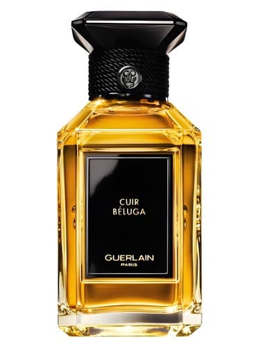 Cuir Béluga - کوئیر بلوگا