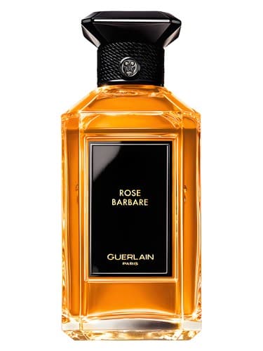 Rose Barbare - رز باربار