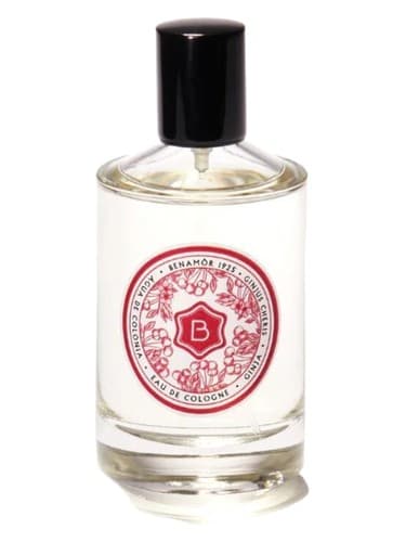 Ginja