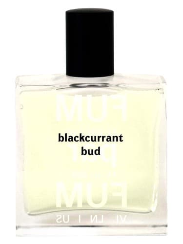 Blackcurrant Bud - غنچه انگور بلک