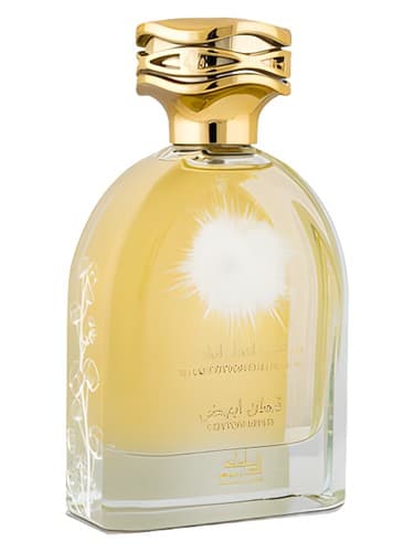 Cotton Abyed - کاتن ابید