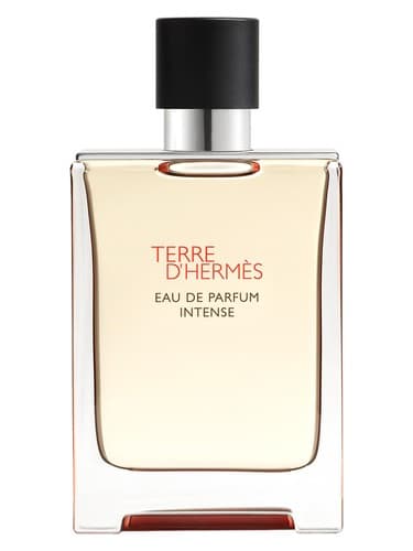 Terre d’Hermès Intense - تق د هرمس اینتنس