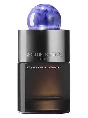 Bluebell & Wild Strawberry - بلوبل اند وایلد استرابری