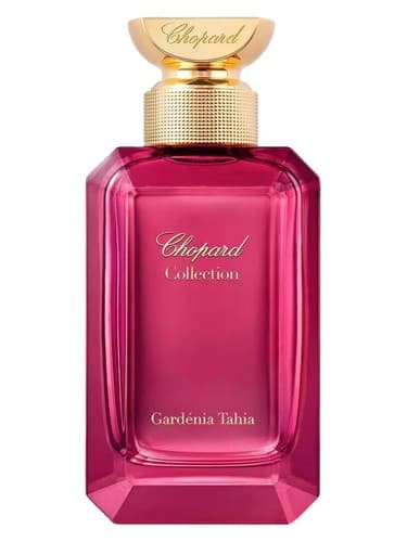 Gardénia Tahia - گاردنیا تاهیا