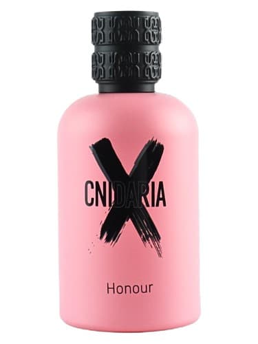 Cnidaria X Honour 