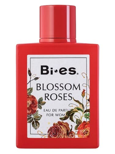 Blossom Roses - گل رز شکوفه