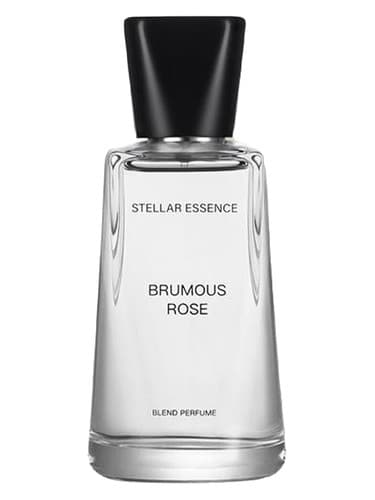 Brumous Rose - گل رد