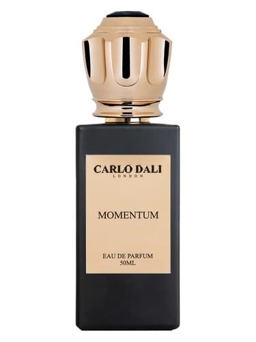 Momentum
