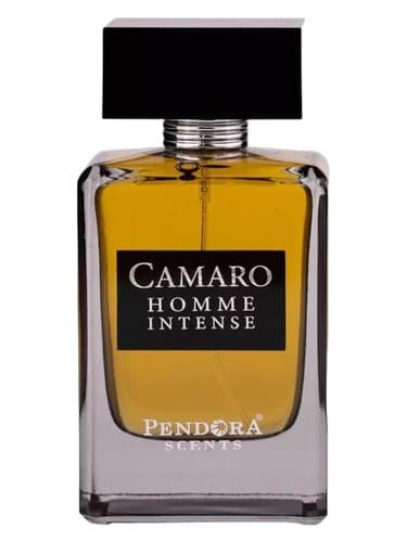 Camaro Homme Intense - کامارو هوم اینتنس