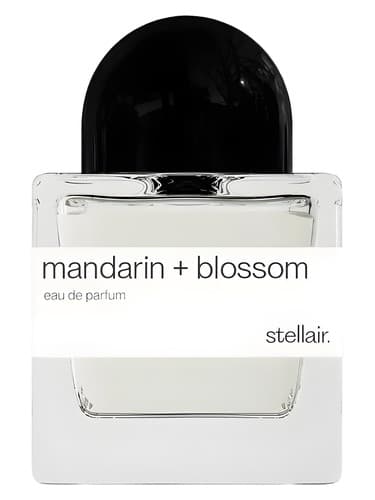 Mandarin + Blossom - ماندارین + شکوفه
