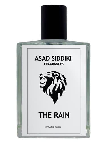 The Rain