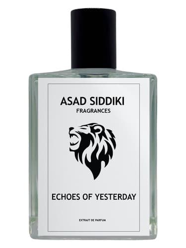 Echoes of Yesterday
