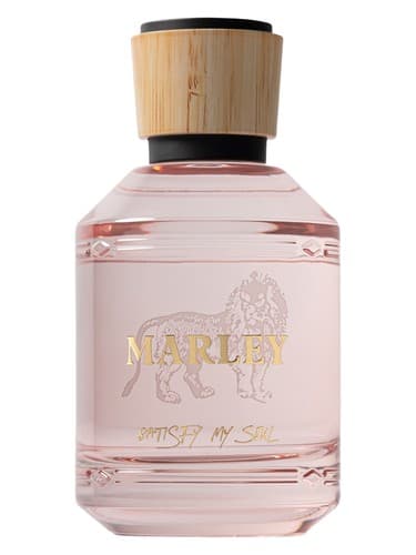 Satisfy My Soul - روح من را راضی کن