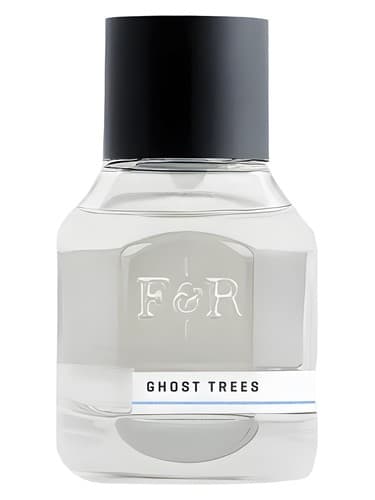 Ghost Trees - درختان ارواح
