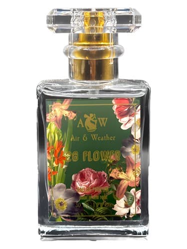 28 Flower - 28 گل
