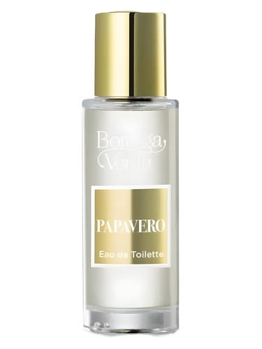 Papavero