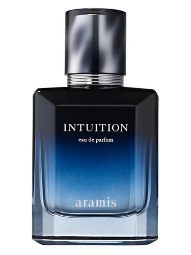Intuition - اینتوئیشن