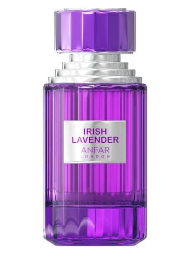 Irish Lavender - اسطوخودوس ایرلندی
