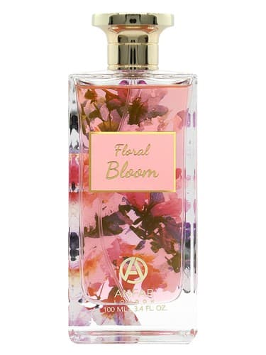 Floral Bloom - شکوفه گل