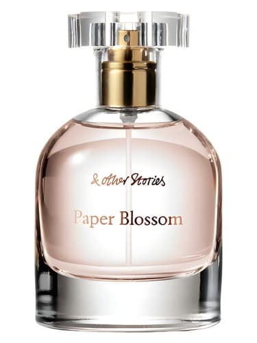 Paper Blossom - شکوفه کاغذ
