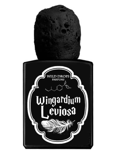 Wingardium Leviosa - وینگاردیوم لویوزا