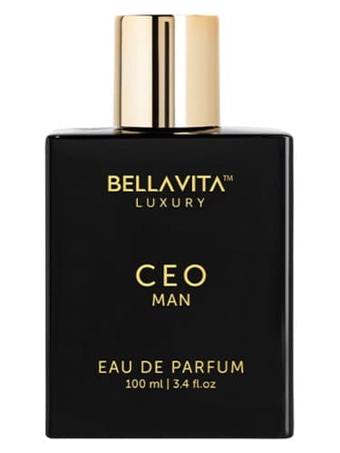 CEO Man - مدیر عامل من