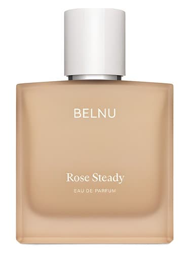Rose Steady - رز ثابت
