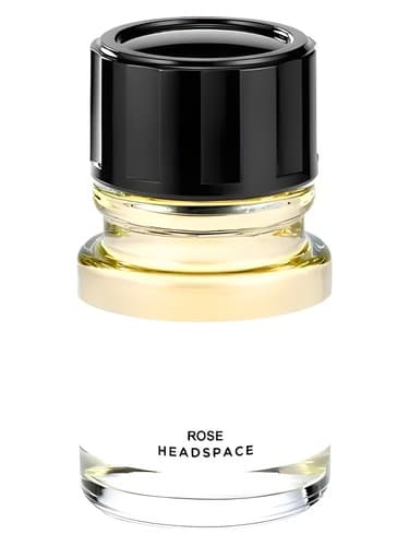 Rose - رز