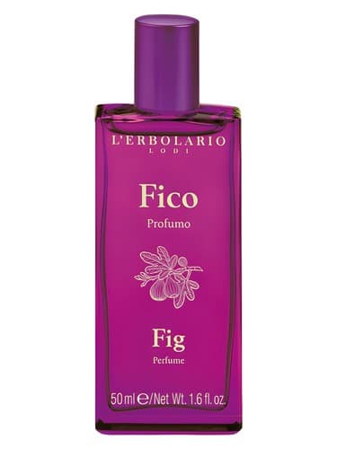 Fico / Fig - فیکو / فیگ