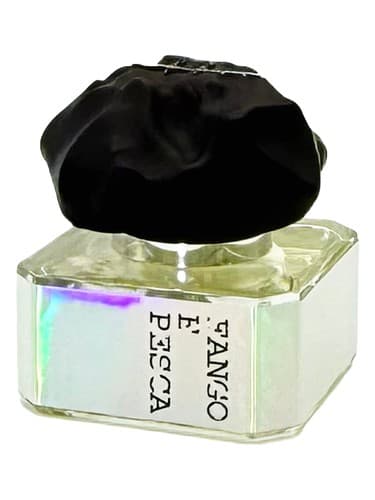 Fango e Pesca - فانگو ای پسکا