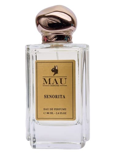 Senorita - سنوریتا