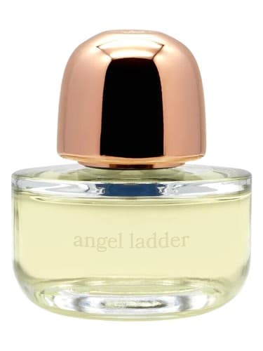 Angel Ladder
