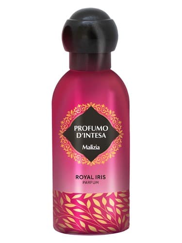 Royal Iris - رویال زنبق