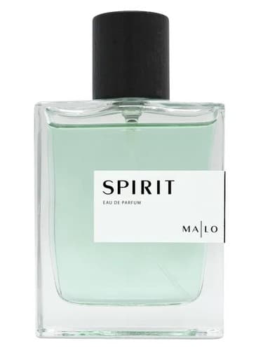 Spirit - روح