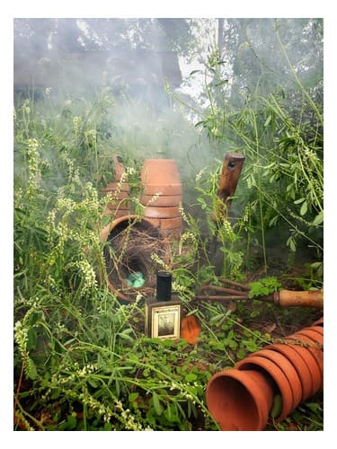 Sweet Clover & Wood Smoke